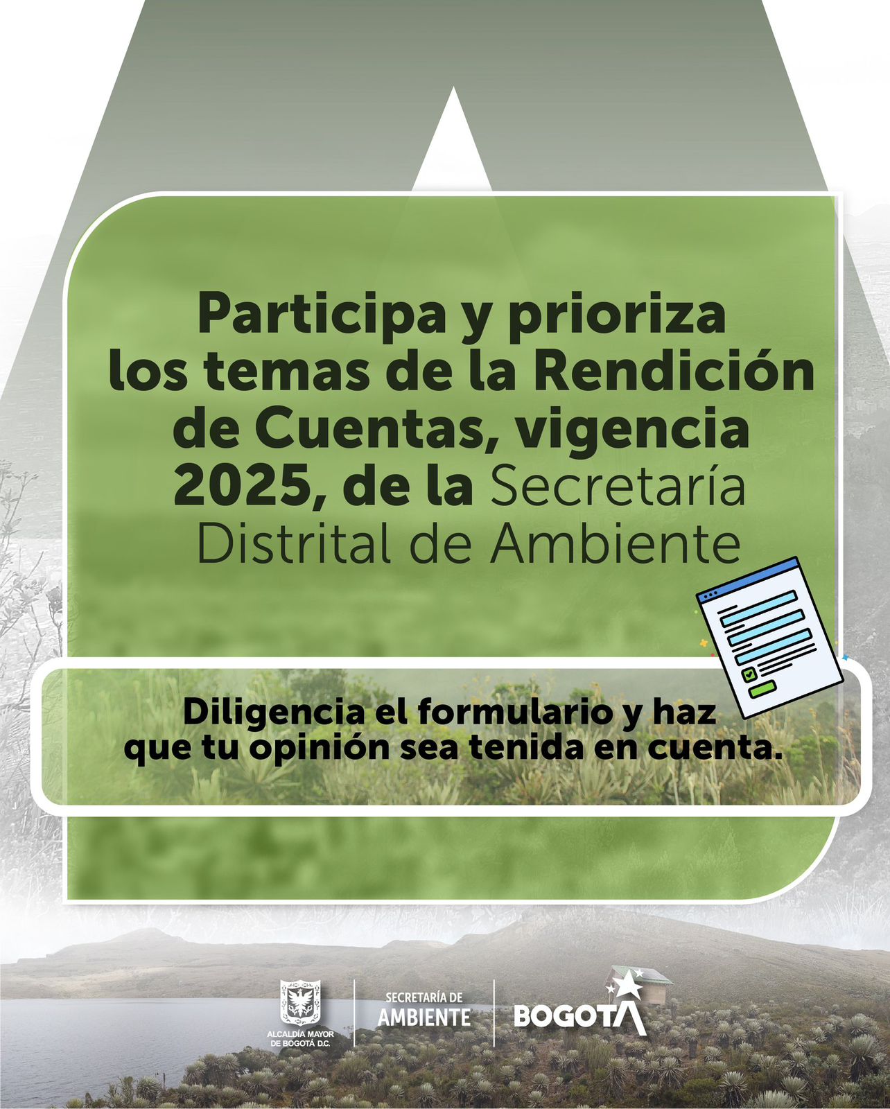 Temas rendición de cuentas