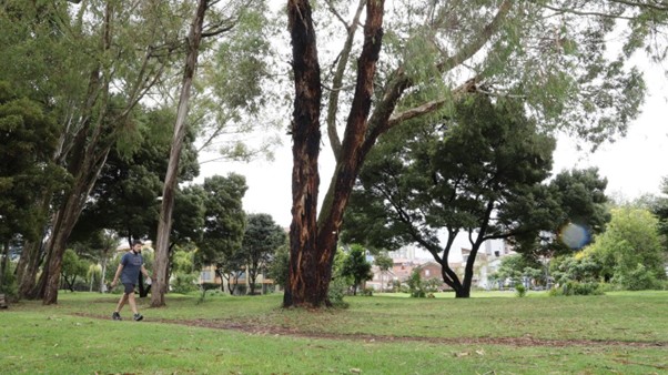 La participación comunitaria fortalece los Bosques Urbanos de Bogotá
