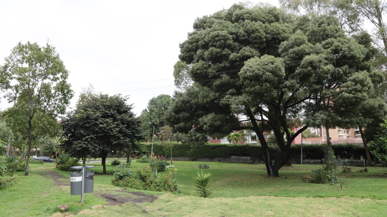 Bogotá fortalece sus Bosques Urbanos con educación ambiental y participación ciudadana