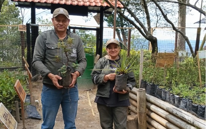 Viveros de la Secretaría de Ambiente obtienen registro del ICA