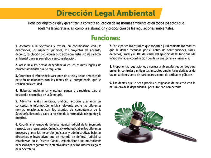 funciones dirección legal ambiental
