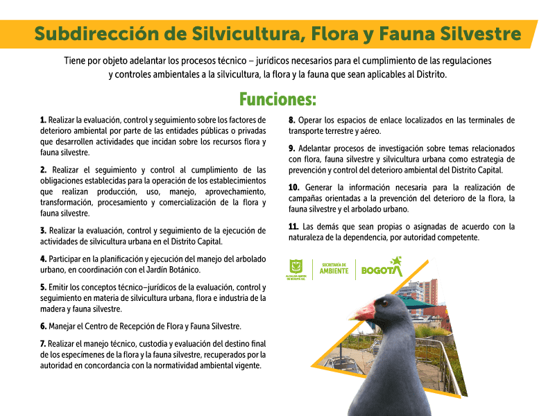 funciones subdirección silvicultura flora y fauna