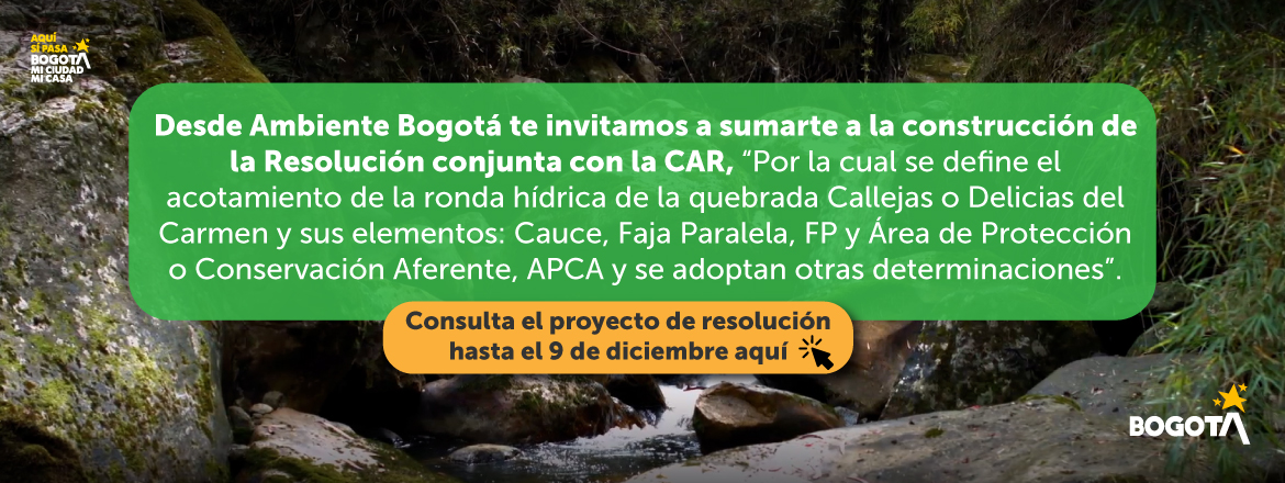Desde Ambiente Bogotá te invitamos a sumarte a la construcción de la Resolución conjunta con la CAR, 