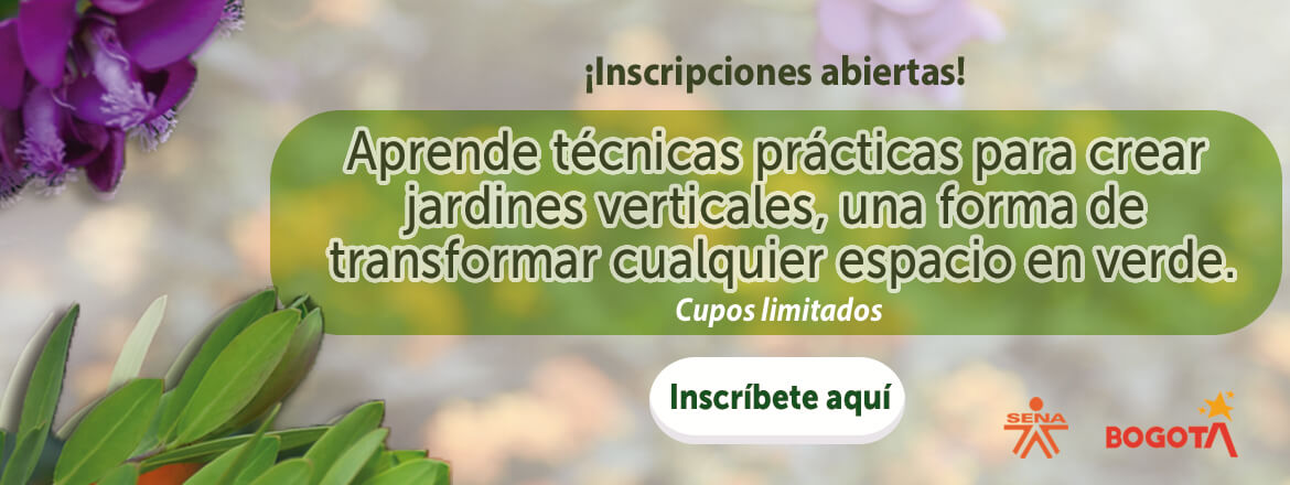 Tecnicas para sembrar jardines verticales