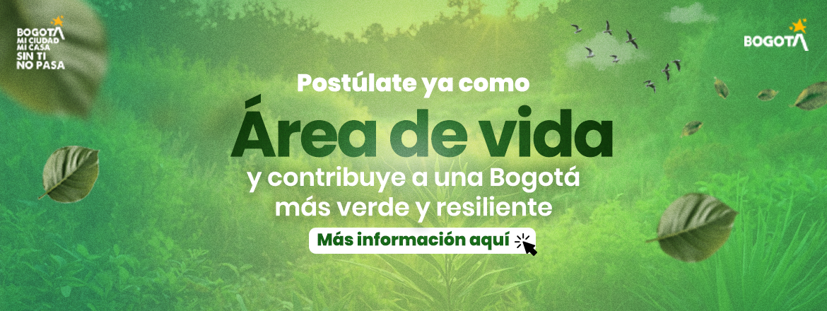 Áreas de vida