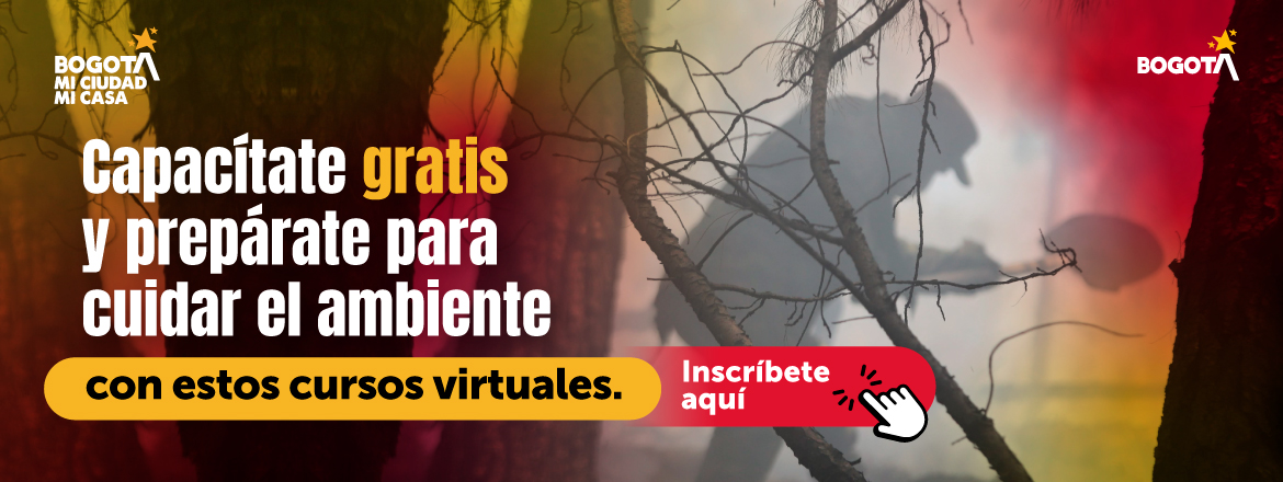 Cursos