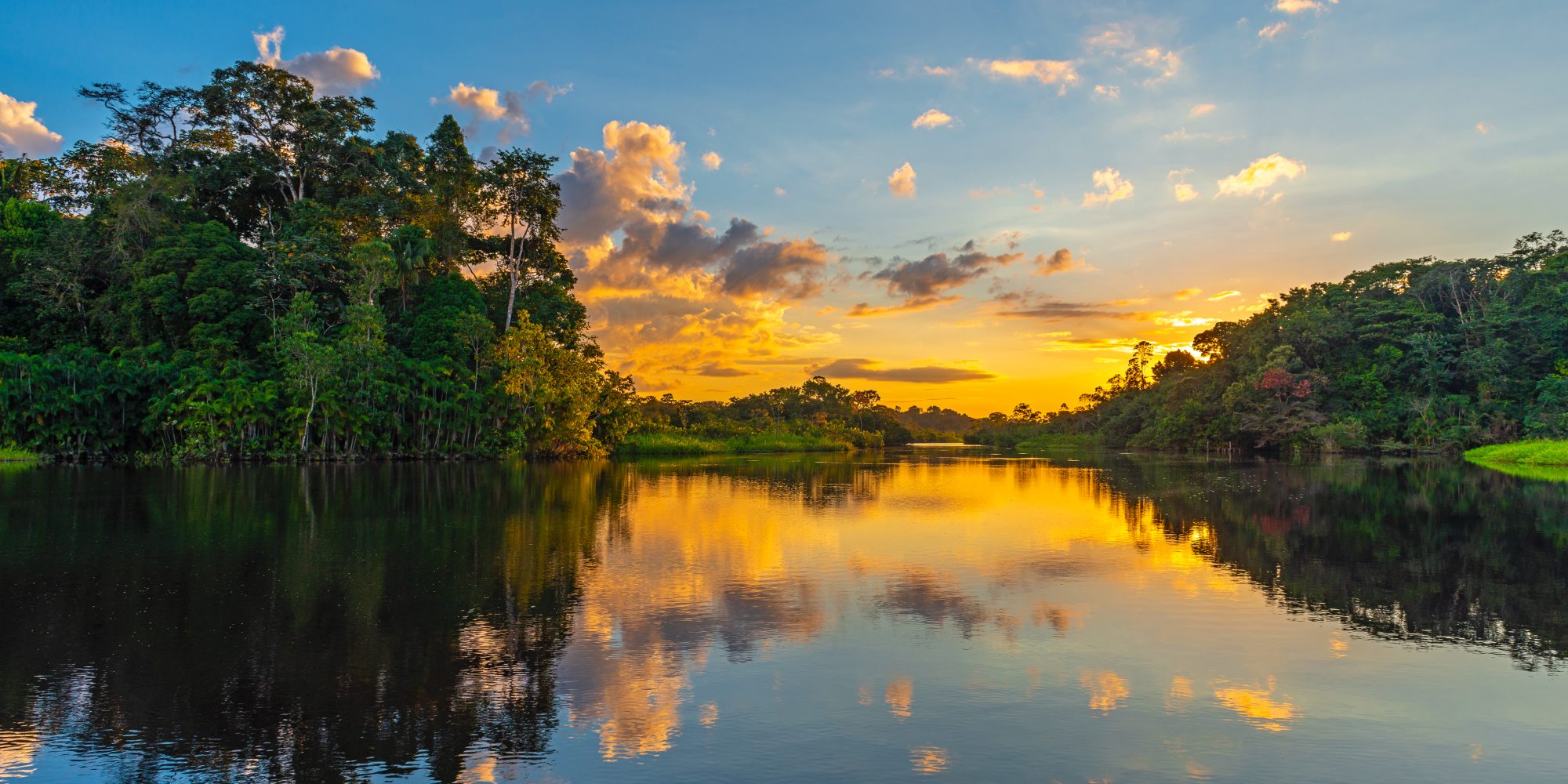 Selva colombiana con río y vegetación exuberante, representando la biodiversidad y el cuidado ambiental