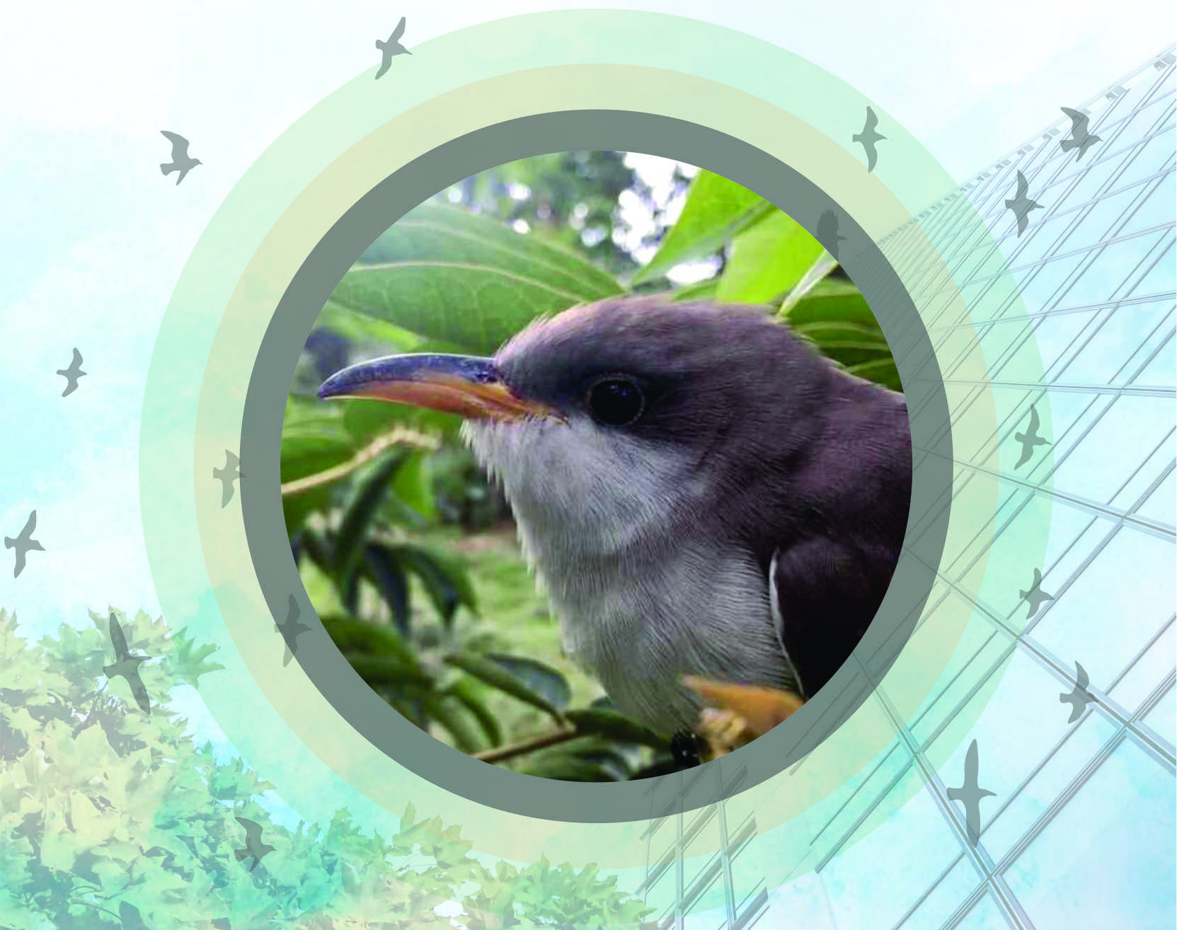 Arquitectura amigable con las aves y los murciélagos
