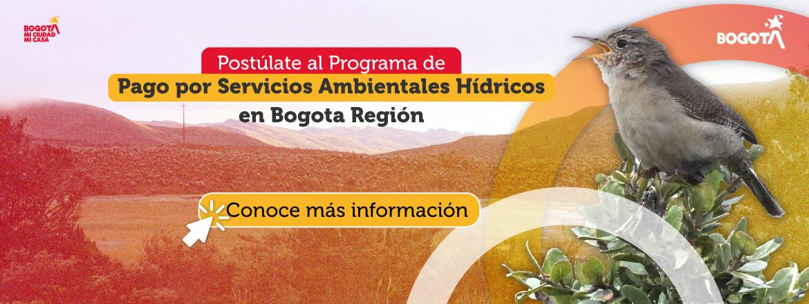 Postúlate al Programa de Pago por Servicios Ambientales Hídricos en Bogota Región