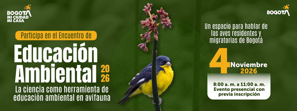 Semana participación Distrital