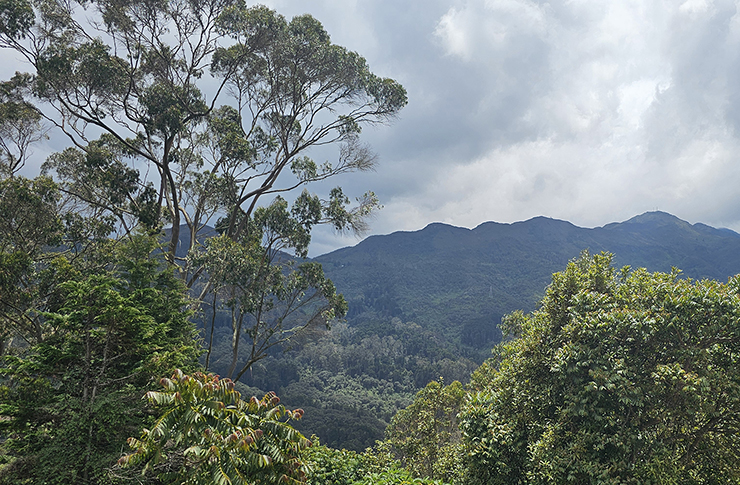 Planeación ambiental del territorio